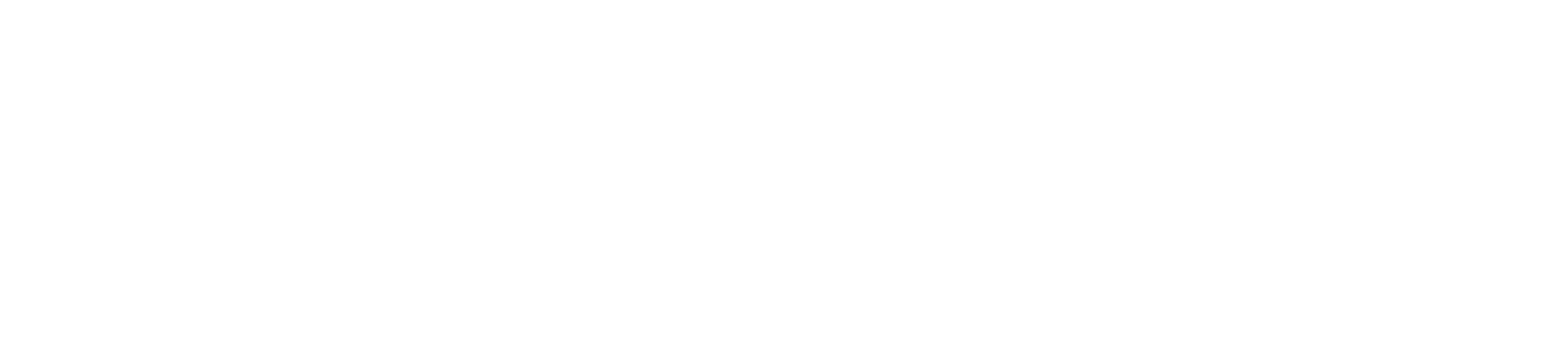 chubbies logo white